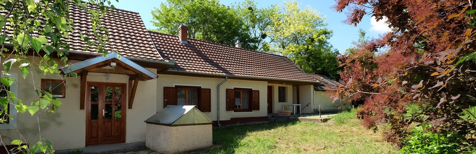 dscf6647_pt.jpg