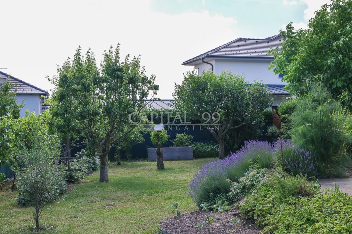 Family House - 4391