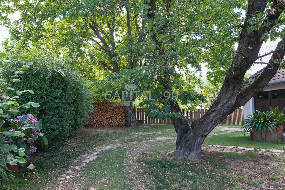 Family House - 4410